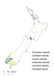 Veronica ciliolata subsp. fiordensis distribution map based on databased records at AK, CHR & WELT.
 Image: K.Boardman © Landcare Research 2022 CC-BY 4.0